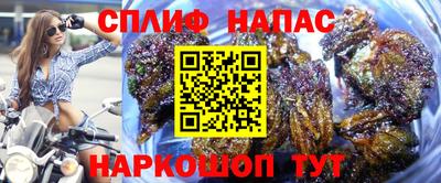 спиды Кинель