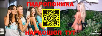героин Кингисепп