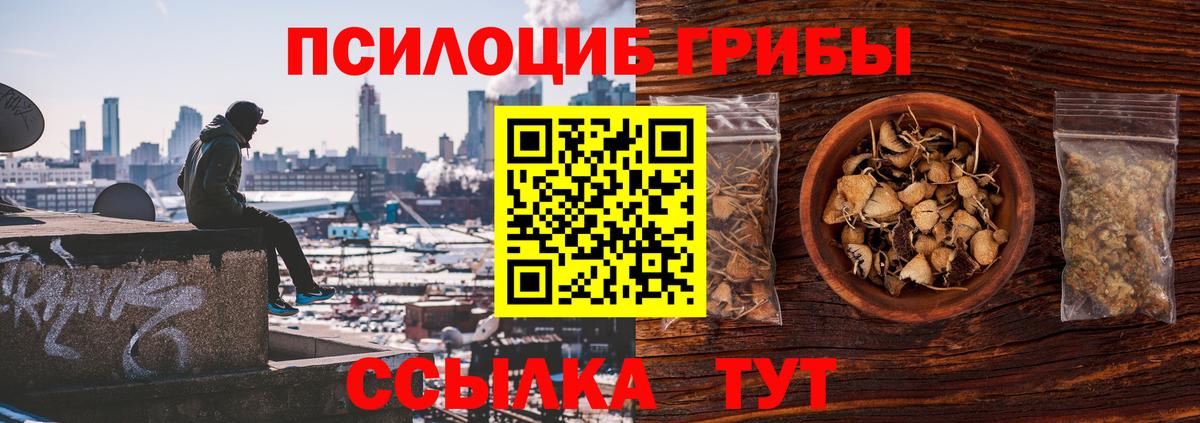 Галлюциногенные грибы мухоморы  Галлюциногенные грибы Psilocybine cubensis  Вход с VPN  Саранск 