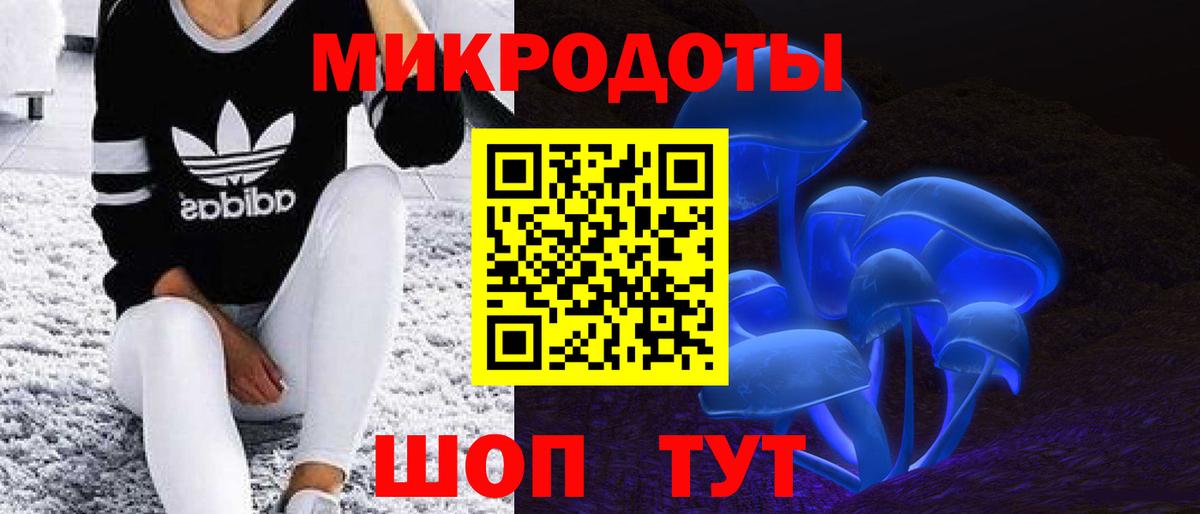 Галлюциногенные грибы мицелий Саранск